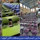 قیمت نیمکت مدارس (لیست قیمت 1405) - جهان فلز گستر
